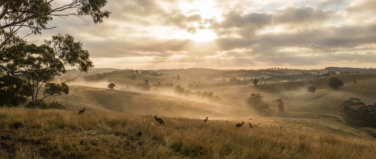 Rolling NSW farmland at first light